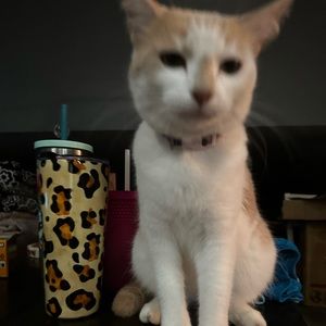 Meet your Posher, Reed